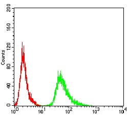 Figure 4:Flow cytometric analysis of MCF-7 cells using AMY1A mouse mAb (green) and negative control (red).