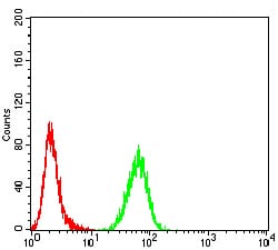 Figure 5:Flow cytometric analysis of K562 cells using ASF1B mouse mAb (green) and negative control (red).