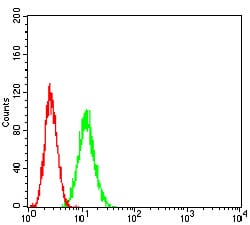 Figure 5:Flow cytometric analysis of HeLa cells using ADAR mouse mAb (green) and negative control (red).