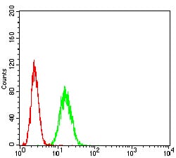 Figure 5:Flow cytometric analysis of Hela cells using ADAR mouse mAb (green) and negative control (red).