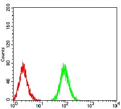 Figure 6:Flow cytometric analysis of Jurkat cells using ATG3 mouse mAb (green) and negative control (red).