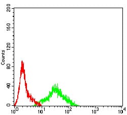 Figure 6:Flow cytometric analysis of SK-N-SH cells using APEX1 mouse mAb (green) and negative control (red).