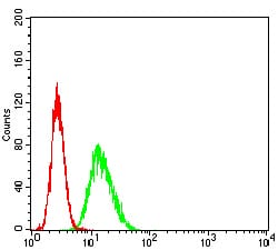 Figure 5:Flow cytometric analysis of HeLa cells using ATP2A1 mouse mAb (green) and negative control (red).