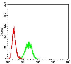 Figure 5:Flow cytometric analysis of Hela cells using BCL2L10 mouse mAb (green) and negative control (red).