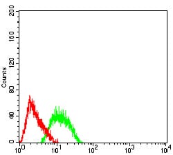 Figure 5:Flow cytometric analysis of SK-N-SH cells using TFAP2B mouse mAb (green) and negative control (red).