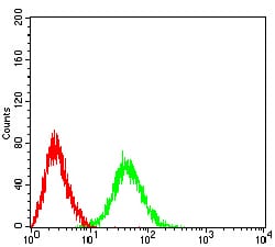 Figure 4:Flow cytometric analysis of BCL11B cells using HeLa mouse mAb (green) and negative control (red).