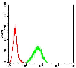 Figure 6:Flow cytometric analysis of HeLa cells using TNFSF13B mouse mAb (green) and negative control (red).