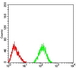 Figure 6:Flow cytometric analysis of SK-N-SH cells using CHRNA6 mouse mAb (green) and negative control (red).