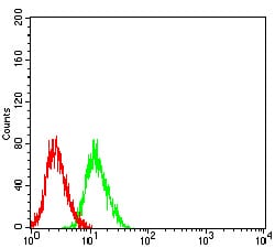 Figure 4:Flow cytometric analysis of SH-SY5Y cells using GRIN3B mouse mAb (green) and negative control (red).