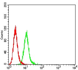 Figure 5:Flow cytometric analysis of HeLa cells using ALDH1A1 mouse mAb (green) and negative control (red).