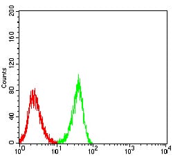 Figure 6:Flow cytometric analysis of SH-SY5Y cells using CHRNA3 mouse mAb (green) and negative control (red).