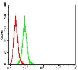 Figure 5:Flow cytometric analysis of HeLa cells using IGHM mouse mAb (green) and negative control (red).