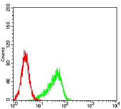 Figure 7:Flow cytometric analysis of HeLa cells using AURKA mouse mAb (green) and negative control (red).