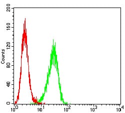 Figure 5:Flow cytometric analysis of Hela cells using BTRC mouse mAb (green) and negative control (red).