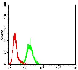 Figure 5:Flow cytometric analysis of K562 cells using BCR mouse mAb (green) and negative control (red).