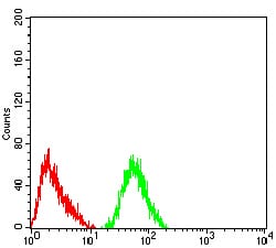 Figure 6:Flow cytometric analysis of SH-SY5Y cells using GRIK4 mouse mAb (green) and negative control (red).