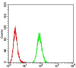 Figure 5:Flow cytometric analysis of Hela cells using ATPIF1 mouse mAb (green) and negative control (red).