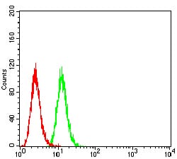 Figure 4:Flow cytometric analysis of Hela cells using PRKAB2 mouse mAb (green) and negative control (red).