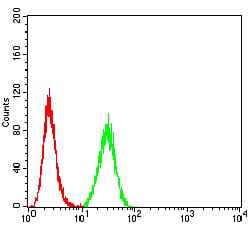 Figure 5:Flow cytometric analysis of Hela cells using PRKAB2 mouse mAb (green) and negative control (red).