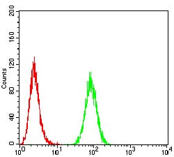 Figure 5:Flow cytometric analysis of Hela cells using ANAPC1 mouse mAb (green) and negative control (red).