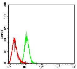 Figure 6:Flow cytometric analysis of Hela cells using BCL2L2 mouse mAb (green) and negative control (red).