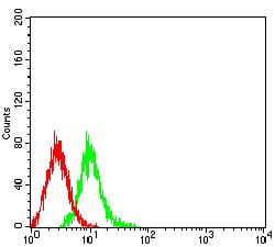 Figure 4:Flow cytometric analysis of K562 cells using GRM6 mouse mAb (green) and negative control (red).