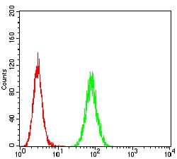 Figure 5:Flow cytometric analysis of Hela cells using HTR3A mouse mAb (green) and negative control (red).
