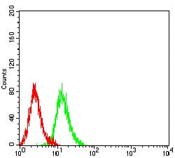 Figure 5:Flow cytometric analysis of K562 cells using ADAP1 mouse mAb (green) and negative control (red).