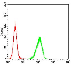 Figure 6:Flow cytometric analysis of Hela cells using TNFSF11 mouse mAb (green) and negative control (red).