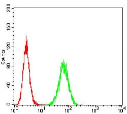 Figure 5:Flow cytometric analysis of Hela cells using TNFSF11 mouse mAb (green) and negative control (red).