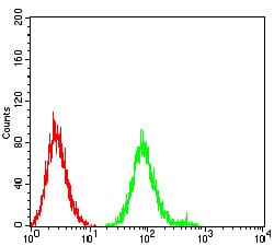 Figure 5:Flow cytometric analysis of SK-N-SH cells using CHRNB4 mouse mAb (green) and negative control (red).