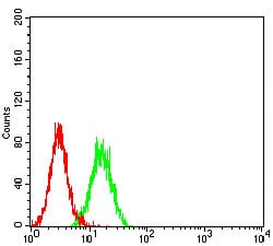 Figure 5:Flow cytometric analysis of K562 cells using ELANE mouse mAb (green) and negative control (red).