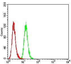 Figure 4:Flow cytometric analysis of Hela cells using P2RY1 mouse mAb (green) and negative control (red).