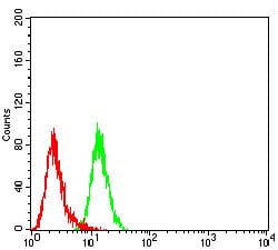 Figure 5:Flow cytometric analysis of HL-60 cells using CD195 mouse mAb (green) and negative control (red).