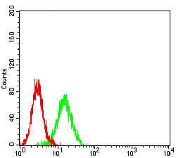 Figure 5:Flow cytometric analysis of K562 cells using CD195 mouse mAb (green) and negative control (red).