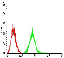 Figure 6:Flow cytometric analysis of SK-N-SH cells using GRIN2B mouse mAb (green) and negative control (red).