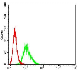 Figure 5:Flow cytometric analysis of K562 cells using CD193 mouse mAb (green) and negative control (red).