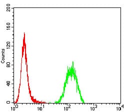 Figure 5:Flow cytometric analysis of Hela cells using P2RY14 mouse mAb (green) and negative control (red).