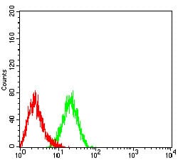 Figure 4:Flow cytometric analysis of HL-60 cells using CD10 mouse mAb (green) and negative control (red).