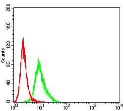 Figure 7:Flow cytometric analysis of K562 cells using CD166 mouse mAb (green) and negative control (red).