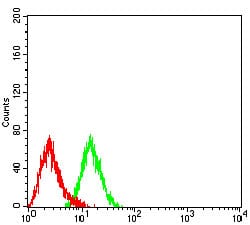 Figure 5:Flow cytometric analysis of HL-60 cells using CD197 mouse mAb (green) and negative control (red).