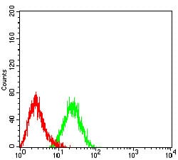 Figure 5:Flow cytometric analysis of HL-60 cells using CD197 mouse mAb (green) and negative control (red).