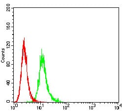 Figure 6:Flow cytometric analysis of K562 cells using CD197 mouse mAb (green) and negative control (red).