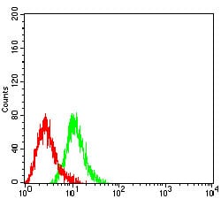 Figure 5:Flow cytometric analysis of HL-60 cells using CD104 mouse mAb (green) and negative control (red).