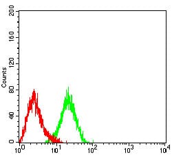 Figure 4:Flow cytometric analysis of HL-60 cells using CD104 mouse mAb (green) and negative control (red).