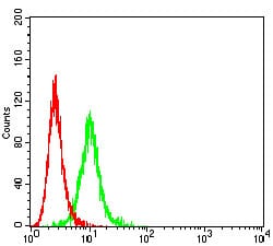 Figure 5:Flow cytometric analysis of K562 cells using CD104 mouse mAb (green) and negative control (red).