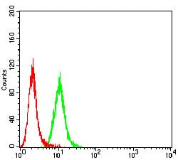 Figure 5:Flow cytometric analysis of Hela cells using P2RY12 mouse mAb (green) and negative control (red).