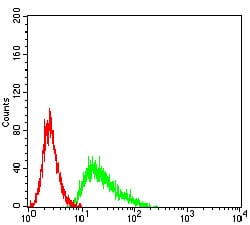 Figure 4:Flow cytometric analysis of Ramos cells using CD137 mouse mAb (green) and negative control (red).