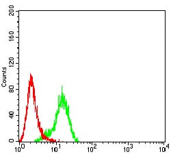 Figure 4:Flow cytometric analysis of Hela cells using PLXNA1 mouse mAb (green) and negative control (red).