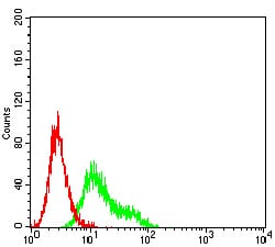 Figure 5:Flow cytometric analysis of Ramos cells using CD209 mouse mAb (green) and negative control (red).